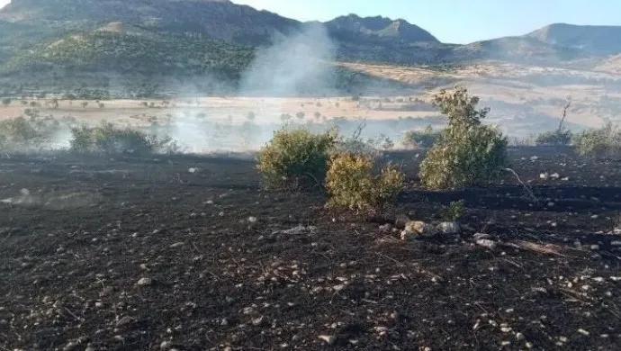 Dicle’de Trafo Yangını: 100 Dönüm Ekili Arazi Kül Oldu