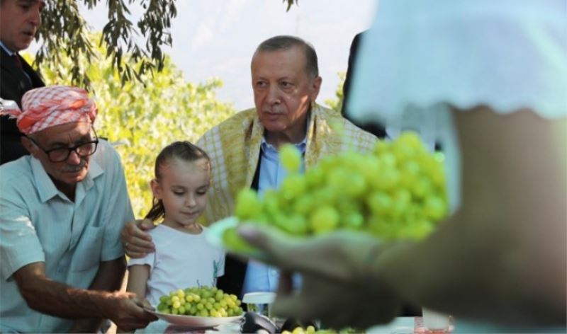 Çekirdeksiz üzümün fiyatı açıklandı