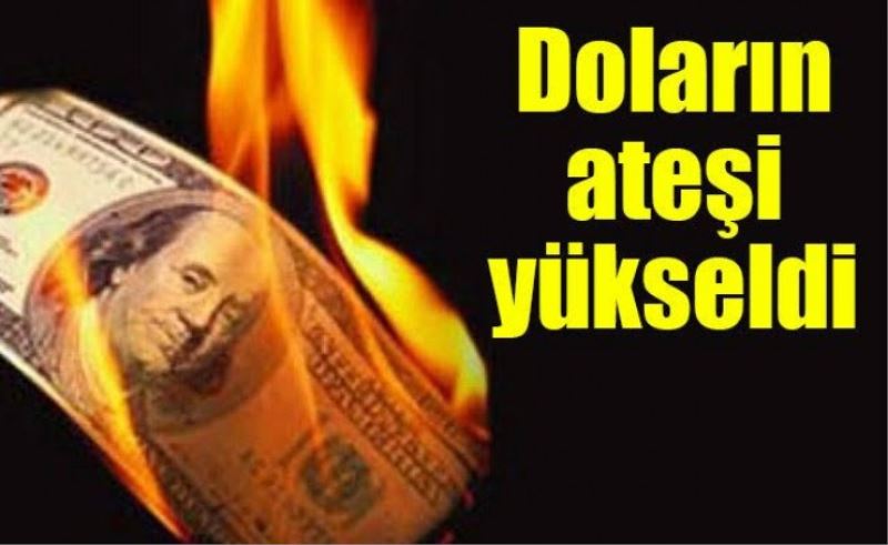 Doların ateşi yükseldi 